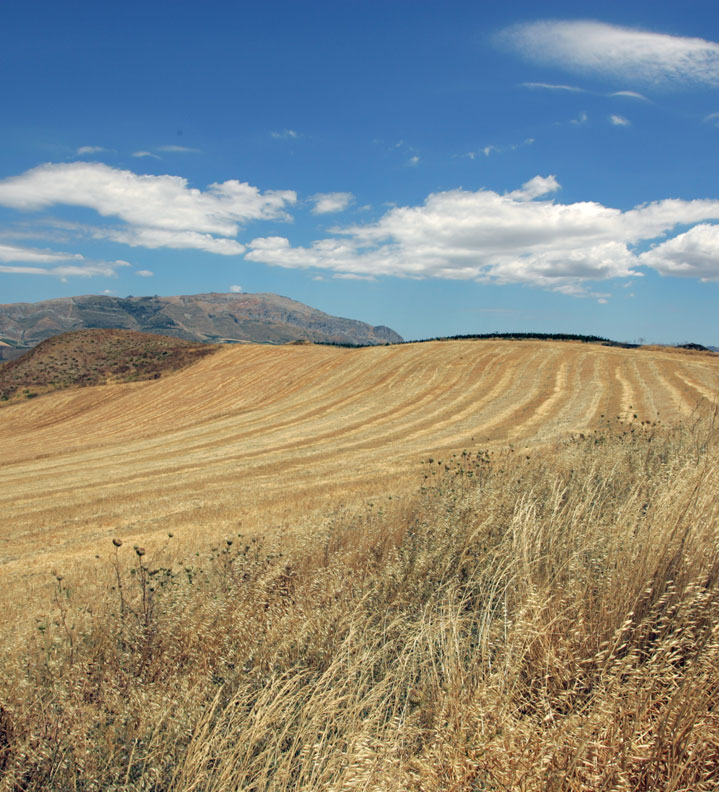 Agriturismo Portella della Ginestra